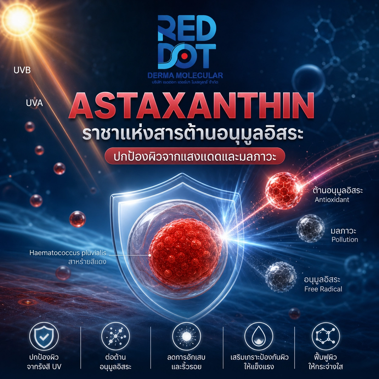 Astaxanthin แอสตาแซนธิน สารสกัด สกินแคร์ OEM Reddot
